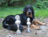Leo - Mai 2011 - Jahrhundertjugendsieger