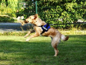 Blanca vom Pohlsee am 14.09.2012